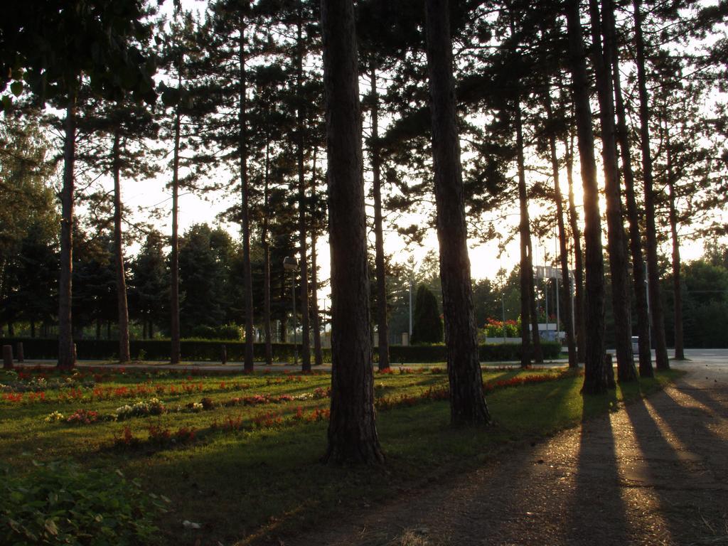 Hotel Ravni Gaj Knic Esterno foto